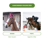Aankomende Veulens 2026 – Best Queen × Ogano Sitte